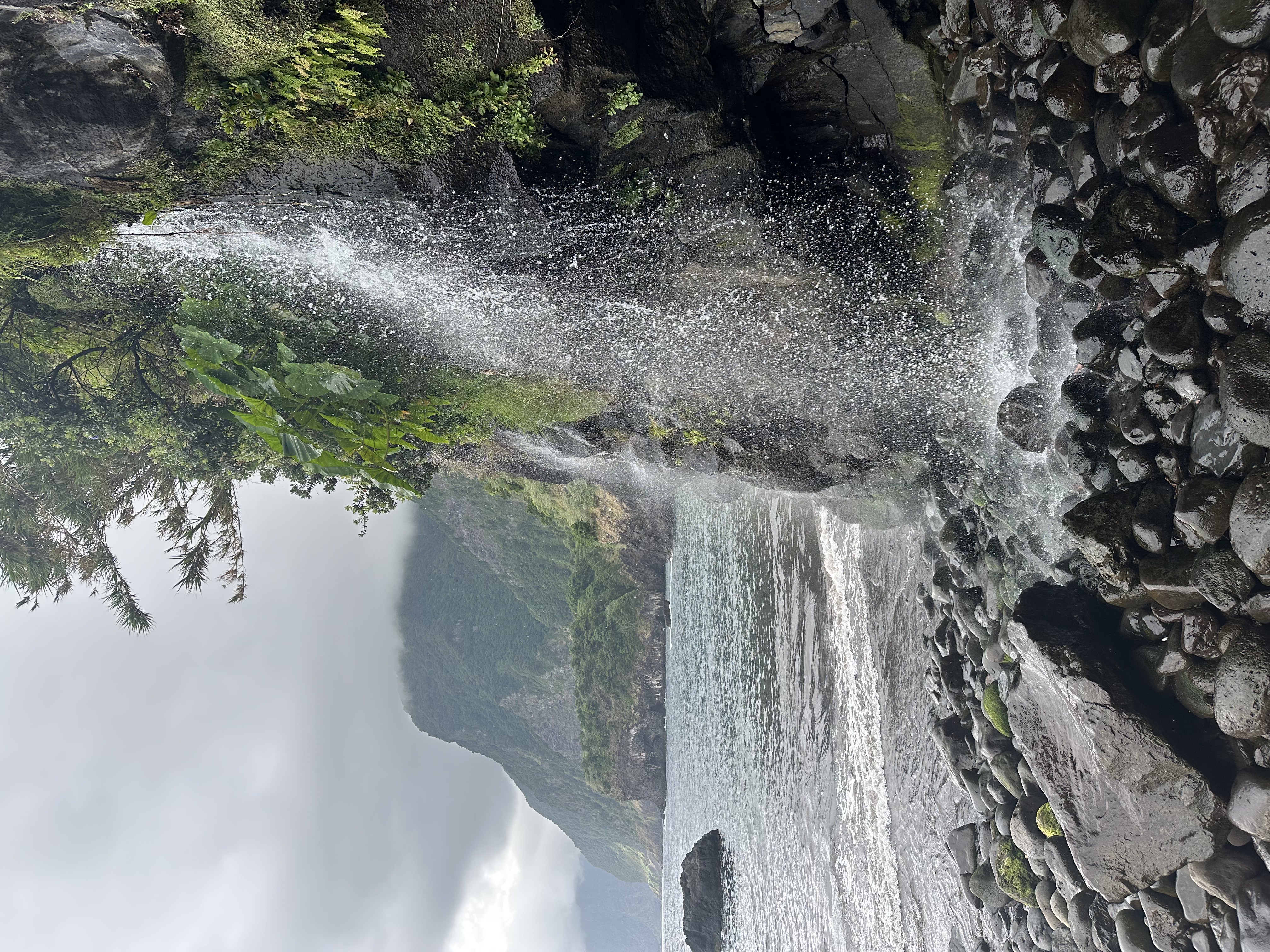 Waterval aan de kust van Madeira